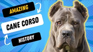 FASCINATING HISTORY OF THE CANE CORSO