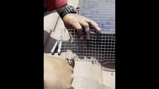 Solar Panel Mesh Installation | Solar Panels Installation