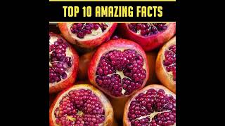 Strange Fun Food Facts 🥝| Crazy Facts | Mind Blowing Top 10 Facts | #shorts #justujufacts