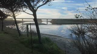 Tea Break Time-Lapse November. 8 , 2024  Bandon Oregon & Gold Beach Oregon