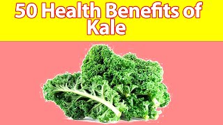 Kale: The Superfood You Need to Know About - The Health Benefits Explained