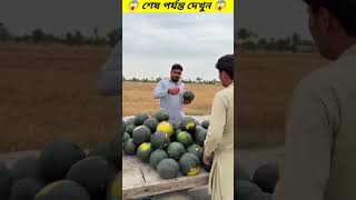 তরমুজ বিক্রেতার সাথে লোকটি কি করে । অতি চালাকের গলায় দড়ি । #shorts #trending