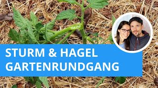 Sturm & Hagel: Ich mache einen Gartenrundgang #garten #selbstversorgung #gartenliebe