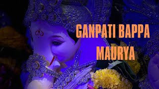 Ganesh Chaturthi 2023 | Bringing Bappa Home 🙏| ROME by Iranis