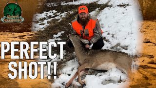 Perfect Shot | Rifle Deer Hunting