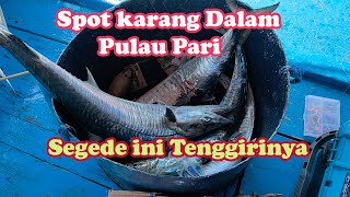 PAKE TEHNIK CASTING LAYUR YANG KENA TENGGIRI BABON