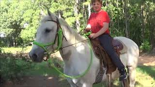 Cool Grey Mare, Trail Rides and Gentle, Affordable Price!