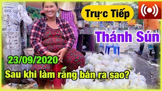 🔴 Trực Tiếp | Thánh Sún Cà Tím Tiếp Tục Bán Sau Khi Làm Răng