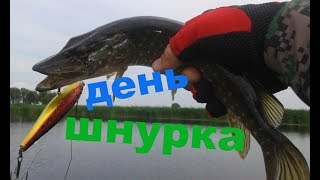 Рыбалка. Шнурки атакуют.  День шнурка