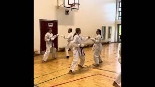 Toyama-Sensei teaches double punches