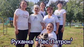 Руханка для дітей "Пес Патрон" #руханка #дистанційненавчання  #розвитокдитини  #здо240 #песпатрон