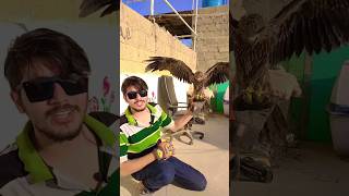 EAGLE PAKAD LIYA 😱 | ANIMAL EAGLE ATTACK ON ME #shorts #shortvideo #viral