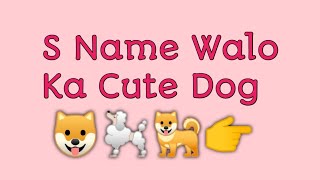 Alphabet name walo ka cute Dog 🐶🐕🐩🐕‍🦺 S name walo ka Dog | A name walo ka cute Dog #shorts