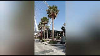 #Dubai # Blue Water Big Wheel