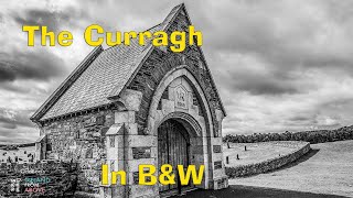 The Curragh in B&W