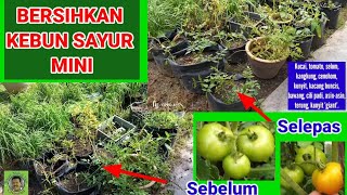 BERSIHKAN KEBUN SAYUR MINI DI TEPI DAPUR