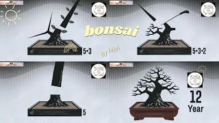 How to Grow a Bonsai Tree at Home | Step-by-Step Guide with Blender Footage  #BonsaiTree #BonsaiCare