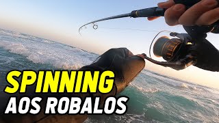 PESCA DE ROBALOS AO SPINNING | Boa actividade | Algarve Portugal | 4k | Seabass fishing