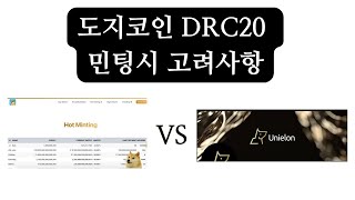 도지코인 DRC20 민팅시 유의사항(DRC20의 표준은 어디?)