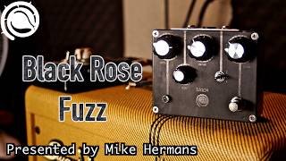 Rose Pedals Black Rose Fuzz