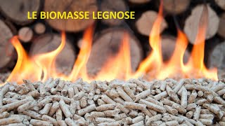 LE BIOMASSE LEGNOSE  | Patrizio De Simoni