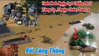 TÌNH HÌNH NGẬP LỤT Ở TÔNG CỌ THUẬT CHÂU SƠN LA MỚI NHẤT CHIỀU 26/7.