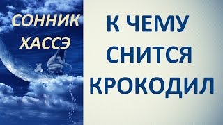 К чему снится крокодил. Сонник Хассэ. Толкование снов.