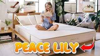 Discover Eco-Friendly Comfort: My Experience with Peace Lily's Latex Mattress & Organic Bedding