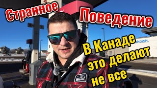 От Травы в Канаде болдеют даже коты. Заправляю балоны.