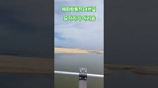 #해파랑북진24번길 #묘자리가아리송