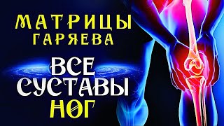 Матрицы Гаряева для Восстановления всех Суставов Ног ☀️ Полное Восстановление Суставов Звуком