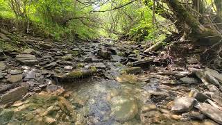 Pure nature , η απόλυτη φύση .., Ζαγόρι, Zagori Greece