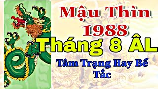 Mậu Thìn 1988 tháng 8 ÂL bạn thường xuyên rơi vào tình trạng hoang mang