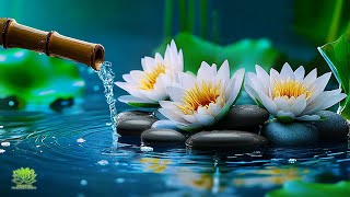 Beautiful Relaxing Music - Stop Overthinking, Stress Relief Music, Sleep Music, Calming Music,Nature