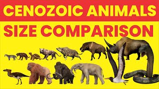 Cenozoic Animals Size Comparison- THE TOP LIST