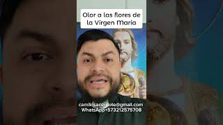 OLOR A FLORES DE LA VIRGEN MARIA #sanacion #brujeria #desarrollopersonal #desarrolloespiritual #dúo