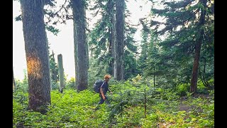 2021-07-15 Mount Margaret near Snoqualmie Pass