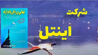 پادکست کتاب تنها بی پروایان پایدارند: نوشته اندرو گرو مدیر عامل شرکت اینتل،  برای مدیریت راهبردی