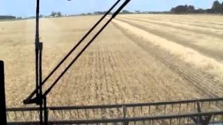 Wheat Harvest 2012