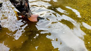 Trout Fishing on New Years Eve