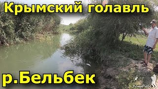 Рыбалка в Крыму. р. Бельбек 2018 год. Крымский голавль