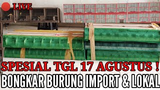 🔴BONGKAR ! SPESIAL 17 AGUSTUS PROMO BELI ECER HARGA GROSIR FULL BURUNG IMPORT & LOKAL 0838-7553-6945