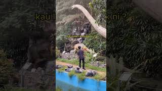 PENEMUAN HEWAN LANGKA DI DUNIA #tanjungpinang #batam #bintan #kepri #viral