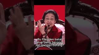 Bu Presiden batal tutup Gang Senggol