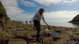 Aberdaron April 2017 Day 2