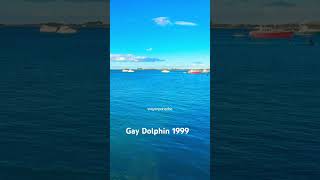 Gay Dolphin 1999 #shorts #boatlovers #newzealand