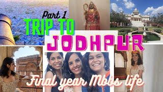 Last trip of MBBS vlog || FINAL YEAR TRIP TO JODHPUR | #Jodhpur_vlog #Mbbs_diaries #Mbbs_life