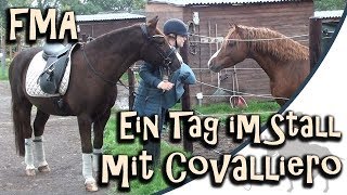 [FMA] Ein Regentag im Stall mit Solido & Co - Dressurtraining + neues Herbst-Outfit von Covalliero