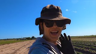 Australia | FARMROUTINE | Daily Vlog 231# | ByIri.