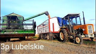 🔥Żniwa w  3p Lubelskie 2020🔥 Perkins VS 20t!!!🔥